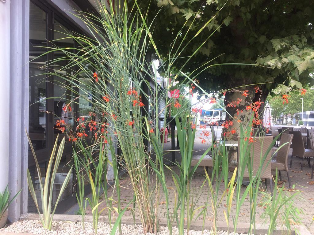 La Hourquie Cafe Hotel Morlaas Buitenkant foto
